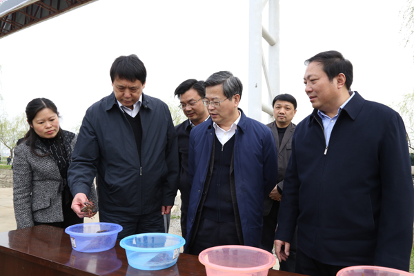 中央政法委委員、秘書長、時任湖北省省委副書記、武漢市委書記陳一新視察萊克龍灣基地