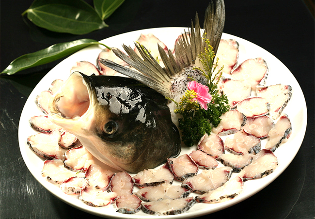 淡水魚系列